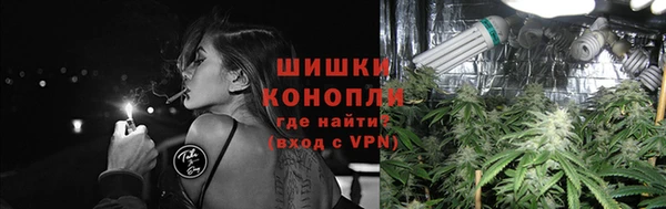 шишки Каменногорск