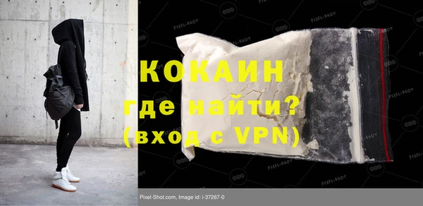 шишки Каменногорск