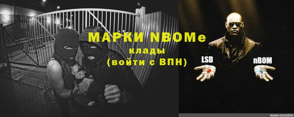 шишки Каменногорск