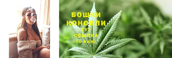 шишки Каменногорск