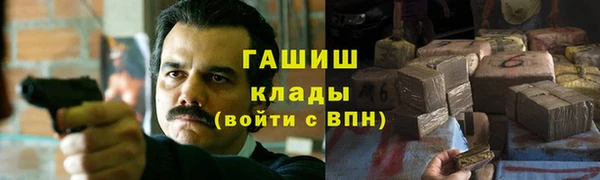 шишки Каменногорск