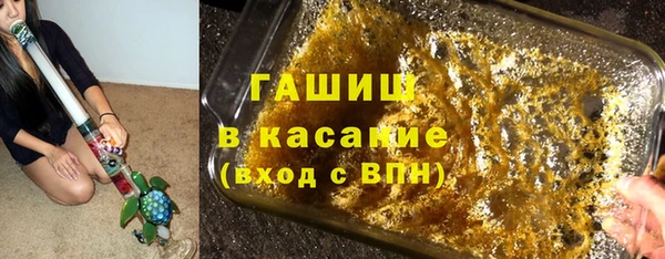 шишки Каменногорск