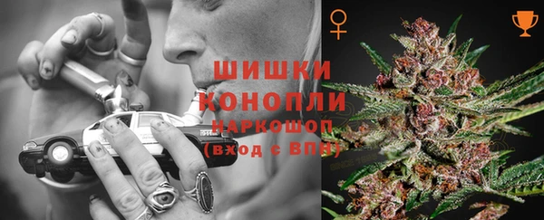 шишки Каменногорск