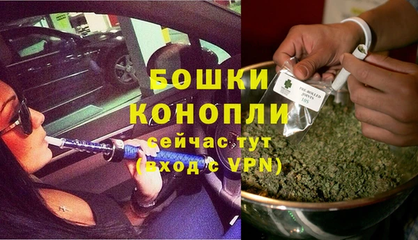 шишки Каменногорск