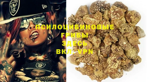 шишки Каменногорск
