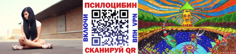 Псилоцибиновые грибы Psilocybe  Тарко-Сале 